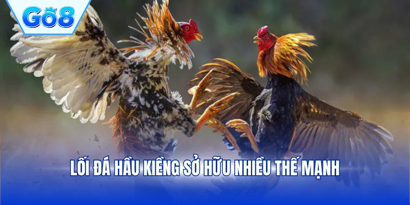 Lối đá hầu kiềng sở hữu nhiều thế mạnh
